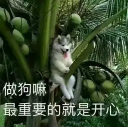 西语本科毕业论文语法校对