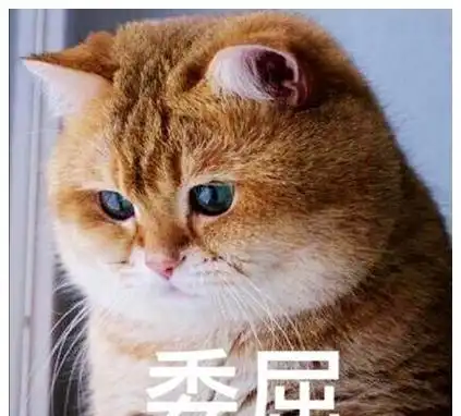 女子倒垃圾捡到一只橘猫回去发现里面有张纸条,打开一看落泪了姐姐