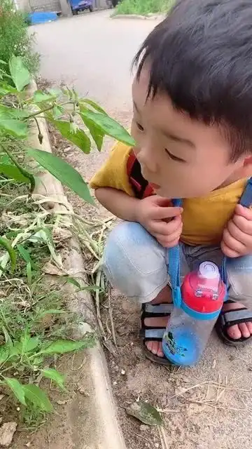 好奇害死猫,这下记住了吧