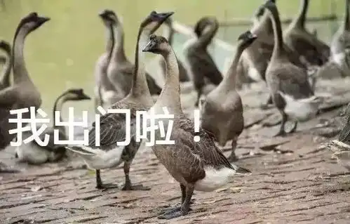 清远到底有多热连美食都热成表情包这不就是每天的我吗哈哈哈哈