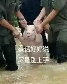 趣小猪沙雕表情包联盟