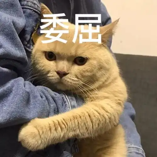 双十一前,千万别翻男朋友的淘宝搜索记录网友晒出结果,数千个跟帖都表示扎心了