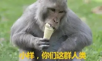 拉勾网