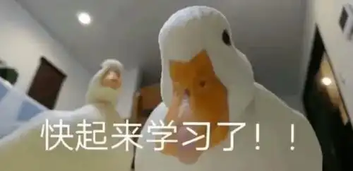 香菜英语怎么说