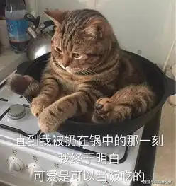 猛虎落地式下跪表情包猫