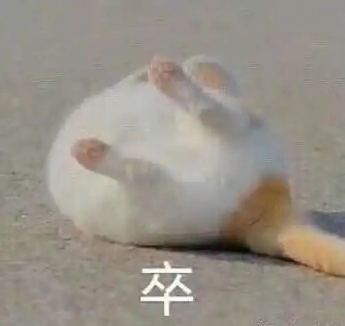 男女表情包拿图片撩人罗志祥,教你管理时间