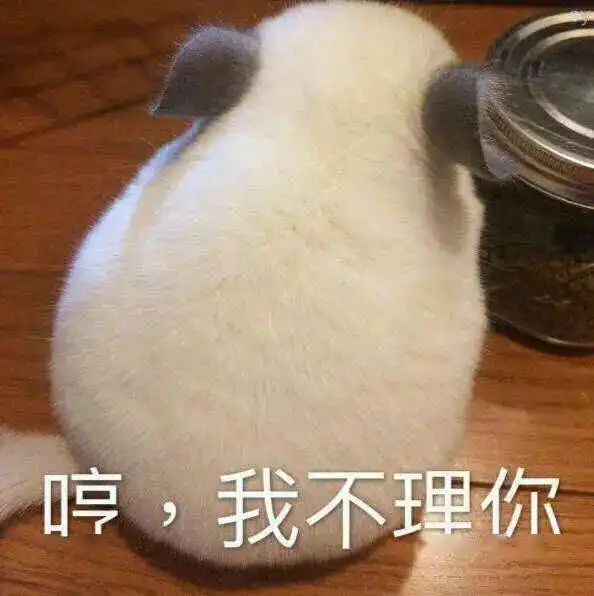 明日之星最近上热搜的他,曾在比赛中叫板前辈面对争议,他自有妙招