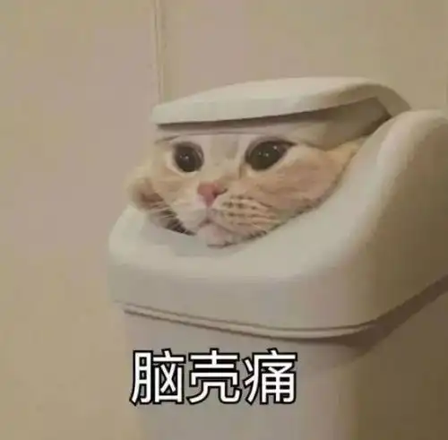 家里蟑螂泛滥成灾是时候教你几招灭蟑技术啦
