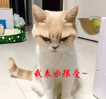 滚的表情包动作自带