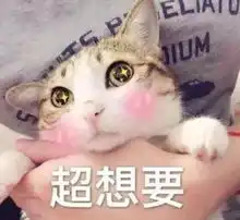 我喜欢的女孩子喝醉之后和我表白了......