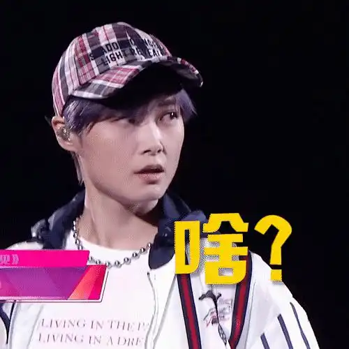 lee的表情包动图