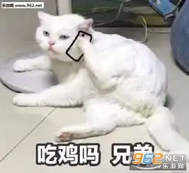 你真是五行欠打表情包一个矜持漂亮的女孩表情包图片下载乐游网游戏下载