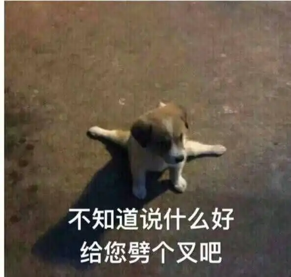虎哥表情包我tm来了打劫