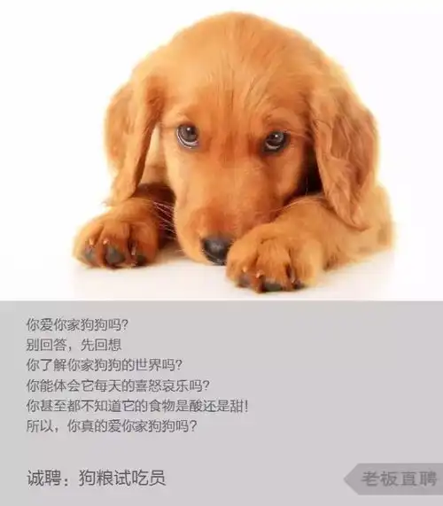 哈哈哈看完咖啡师招聘广告真实版,想转行做家禽交配辅导员