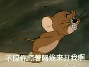 男生用猫猫表情包猫和老