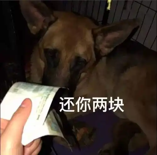 热门套路表情包借我一块钱,一会就还你
