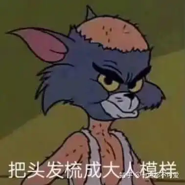 秃顶大爷表情包打岔