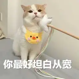 乖收藏夹
