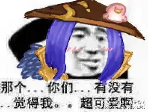 王者荣耀买皮肤表情包刘