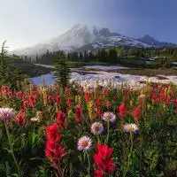 适合做快手头像风景