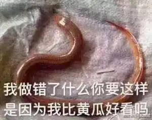 黄鳝表情包黄鳝表情包无水印下载绿色版