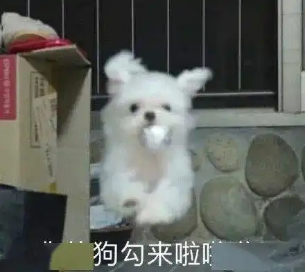 大瓜速进妻子复仇渣男丈夫的故事