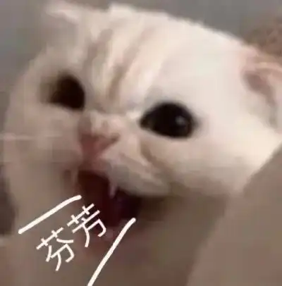 真人系列男生头像