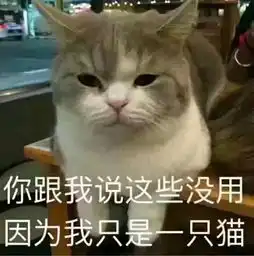 表情包胖子图片大全微信