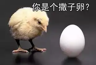 鸡年要用对表情包,重庆言子版鸡年表情包爆笑来袭