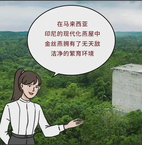 都市男女的滋补观察报告,有点意思