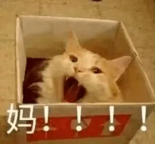 你好,李焕英你好,妈妈