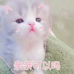 真是让人头大网红胖娃gordinhojaguatiricajaguatiricagordinho网红胖娃人头表情