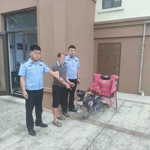 临沂一男子搬家式盗窃,连鸡都不放过