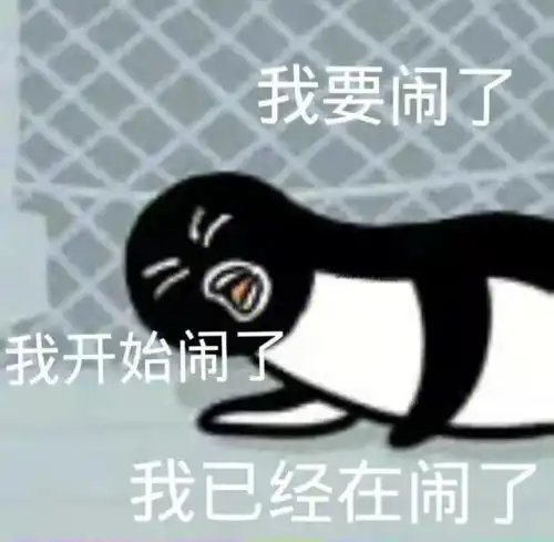 表情包我要开始闹了