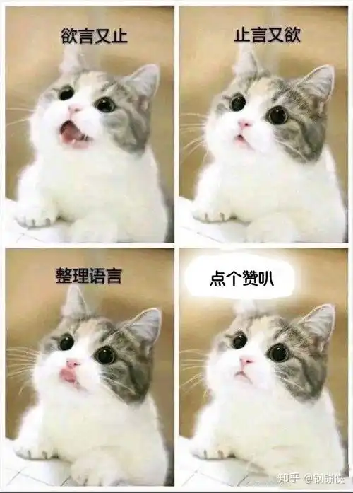 怎么用双手打字表情包怎