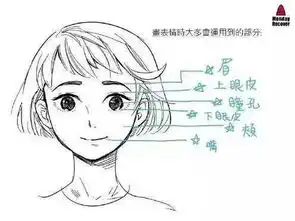 知乎-知乎