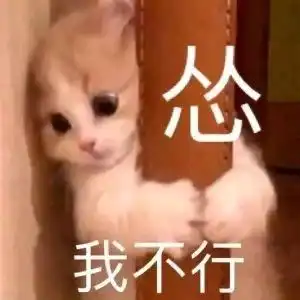 头像表情包丨小猫咪能有什么坏心思呢