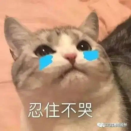 在婚姻登记处,男子对女子拳打脚踢打完之后高高兴兴领证了