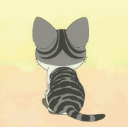 起司猫gif表情包