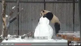 钢铁之眼倒映世界的温柔不为所见的景色