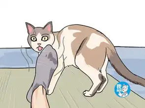 男子伸出大脚丫,猫咪忍不住闻了一下,随后仿佛被定住了