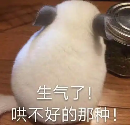 对象生气怎么哄表情包男