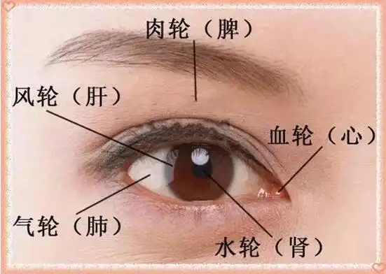 肾虚了就虚表情包眼袋