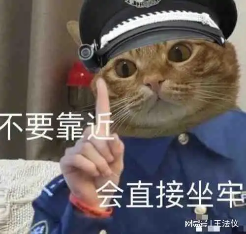 如果一个加拿大男明星在中国强奸未成年少女,会被判多少年