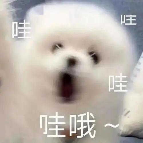 表情包baby,你还回家吗