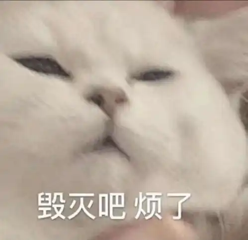 母猪图片表情包感恩