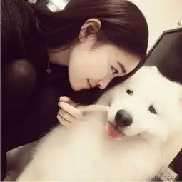 猫咪喜欢追自己尾巴,是不是有心理问题宠物各种奇怪天性揭秘