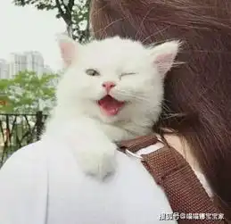 男生头像真人侧脸抱小动