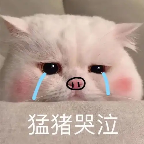 猫咪偷偷抹把泪表情包表