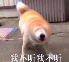 中高考停课调课通知来了有学生可连休四天